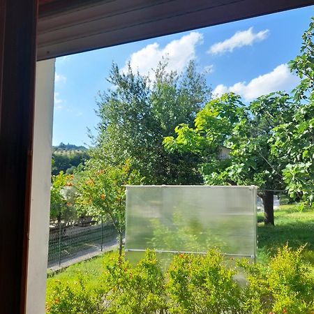 Camping Agriturist Sant'Anna Castelplanio Ruang foto