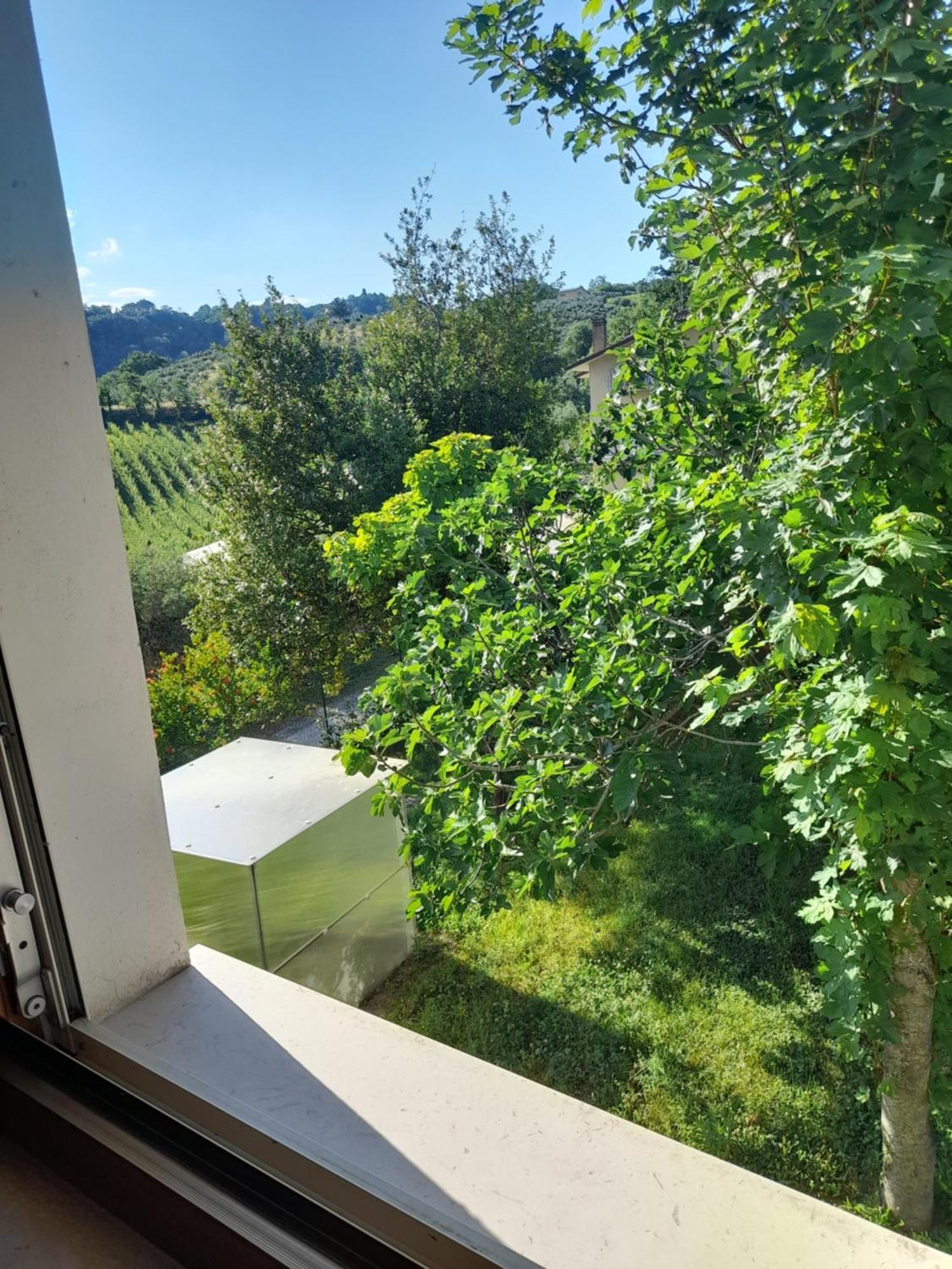 Camping Agriturist Sant'Anna Castelplanio Ruang foto