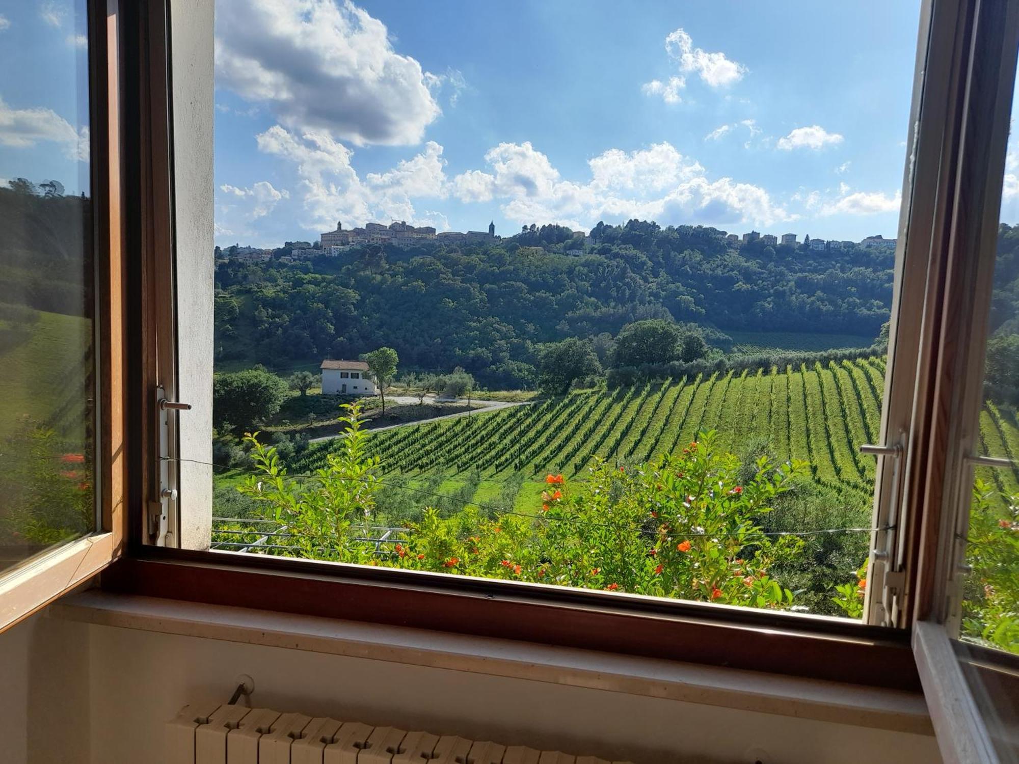 Camping Agriturist Sant'Anna Castelplanio Ruang foto