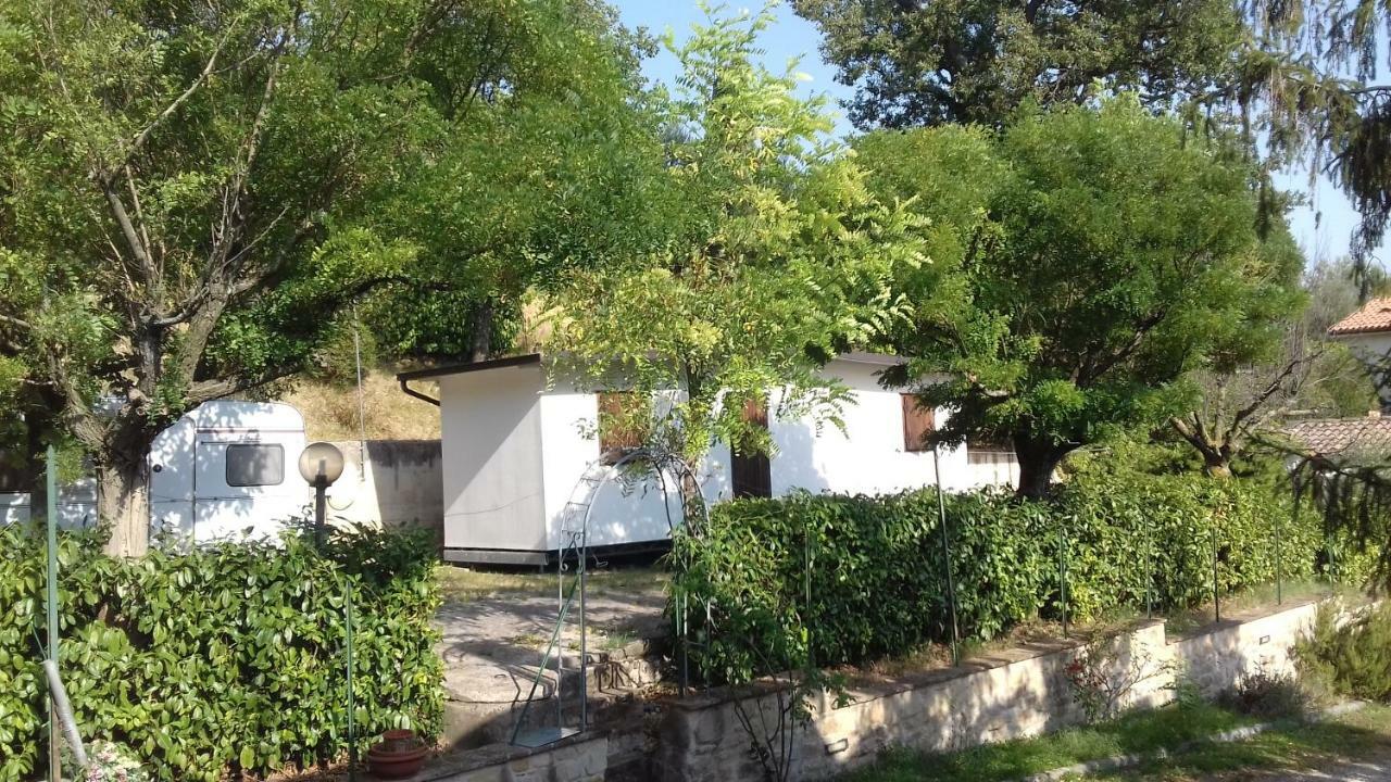 Camping Agriturist Sant'Anna Castelplanio Bagian luar foto