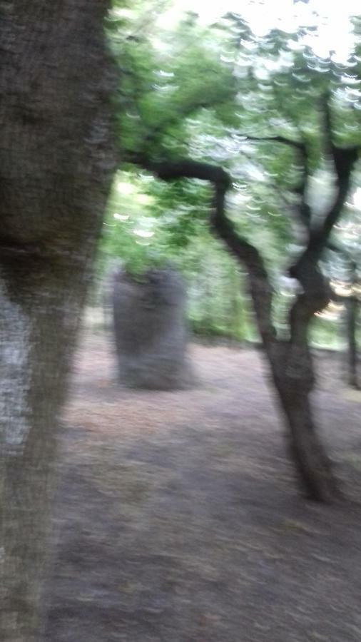 Camping Agriturist Sant'Anna Castelplanio Bagian luar foto