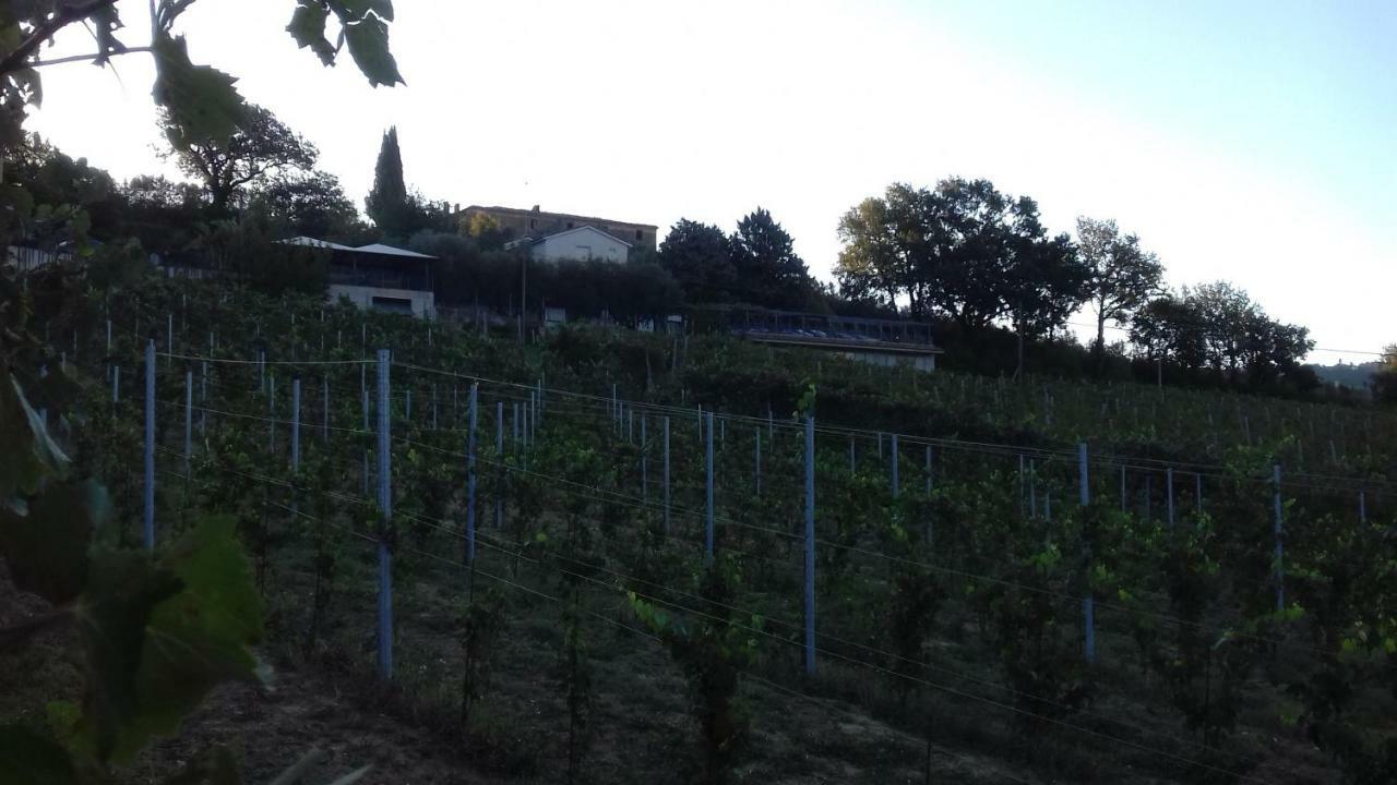 Camping Agriturist Sant'Anna Castelplanio Bagian luar foto
