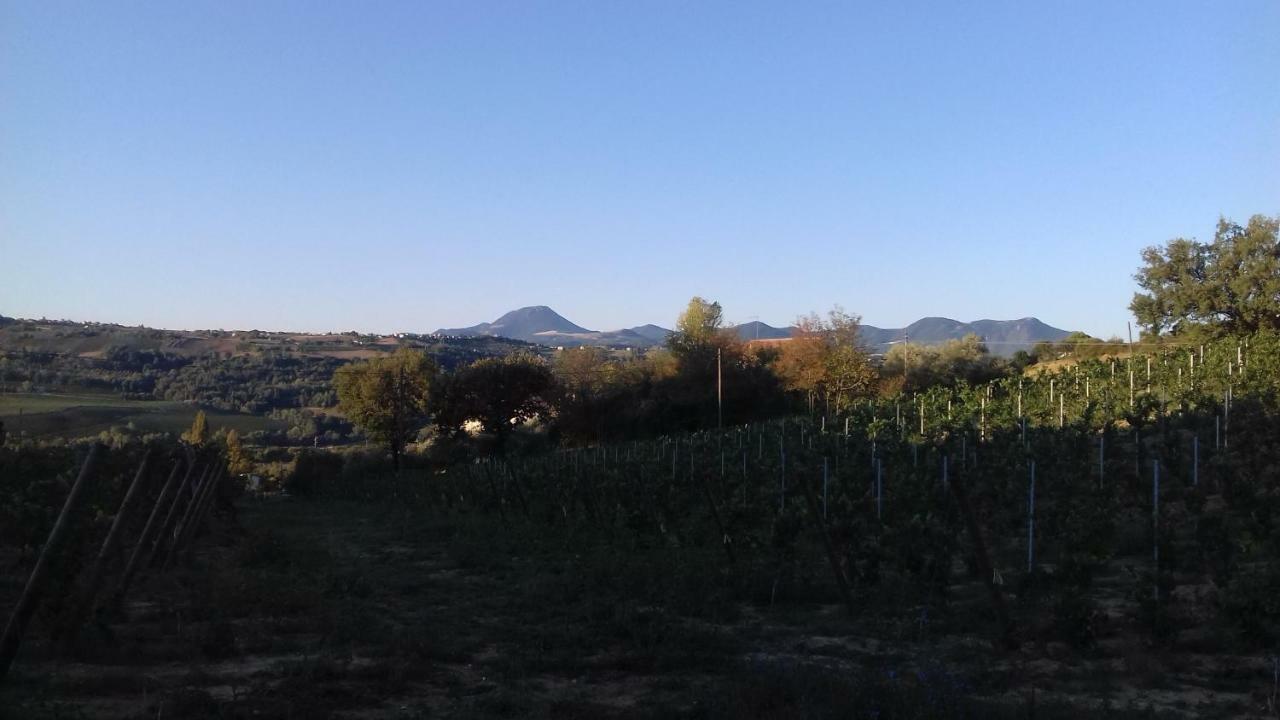 Camping Agriturist Sant'Anna Castelplanio Bagian luar foto